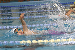 第20回三条市民スポーツ大会水泳競技