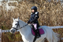 第21回三条市民スポーツ大会乗馬大会