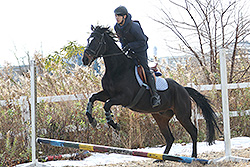 第21回三条市民スポーツ大会乗馬大会